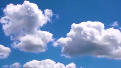 تصویر از ارزش ها و ضدّ ارزش ها – حکمت شماره ۲۱