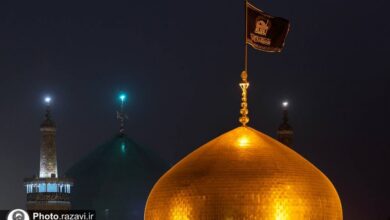 تصویر از شهادت امام رضا (ع)